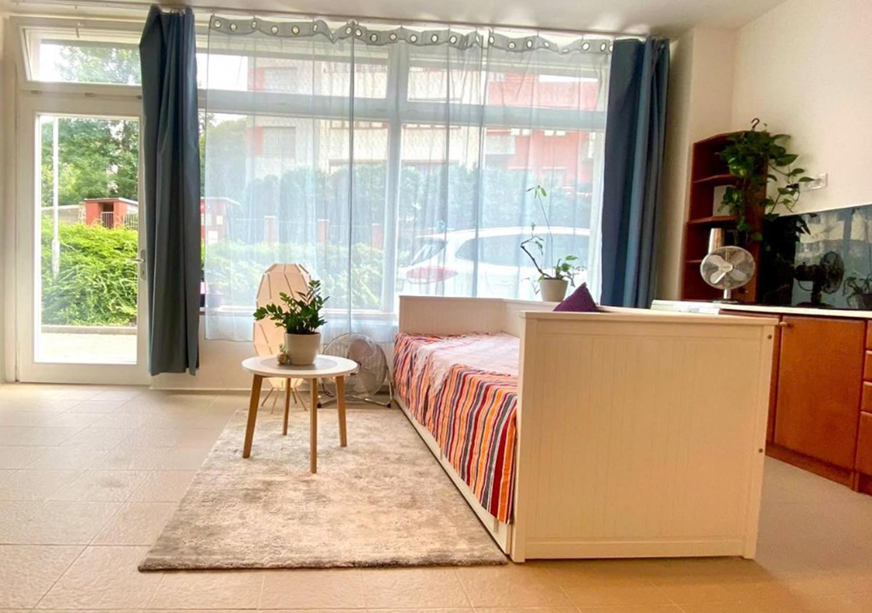 Green Studio Praha 2 L Ground Floor Free Parking エクステリア 写真